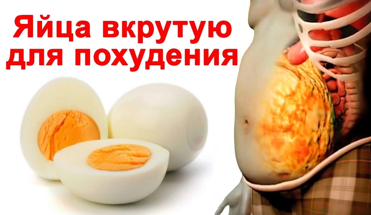 Похудеть Яйцами