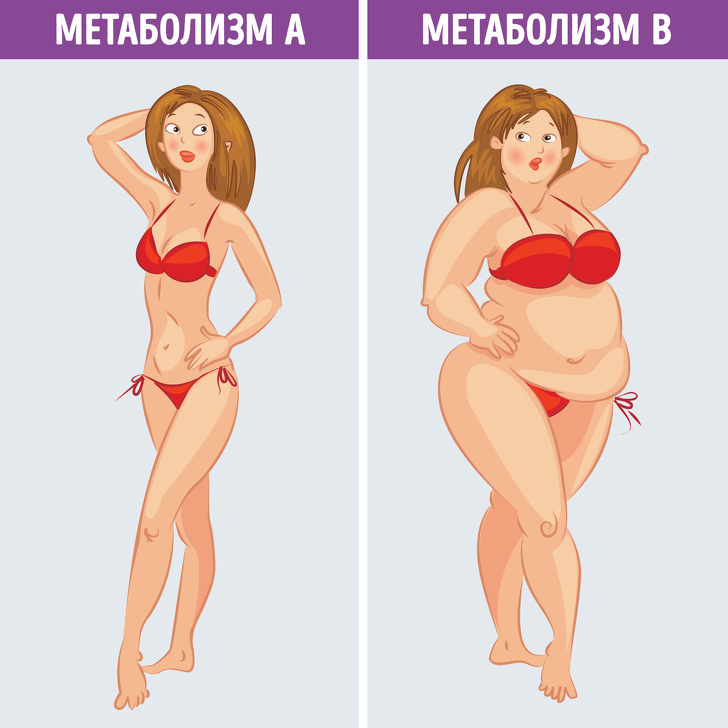 Типы Похудения