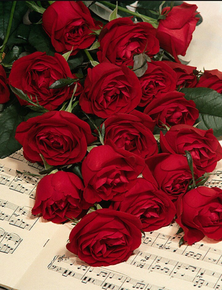 Розы Поздравление Музыкальное